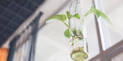 Imagen destacada de Sector biofarmacéutico