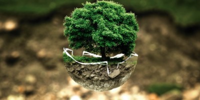 Imagen destacada del sector Medio Ambiente