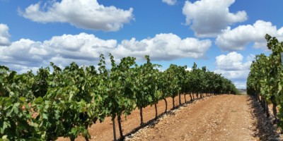 Imagen destacada de Capital humano e innovación